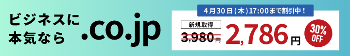 �ӥ��ͥ����ܵ��ʤ��.co.jp��